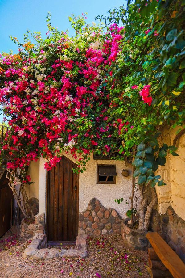 Beit Theresa Dahab Bagian luar foto